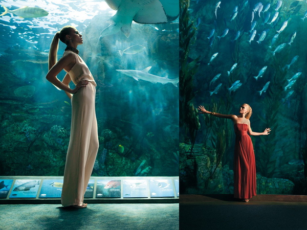 ��������� ������� ������ MaxMara Elegant