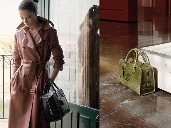 ��������� �������� �����-���� 2010/11