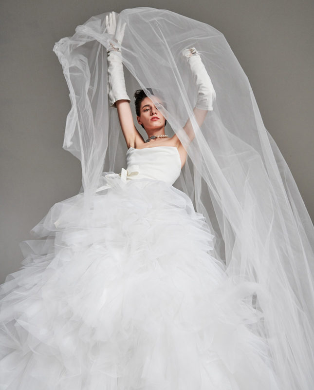 ��� ������� ��������� ����