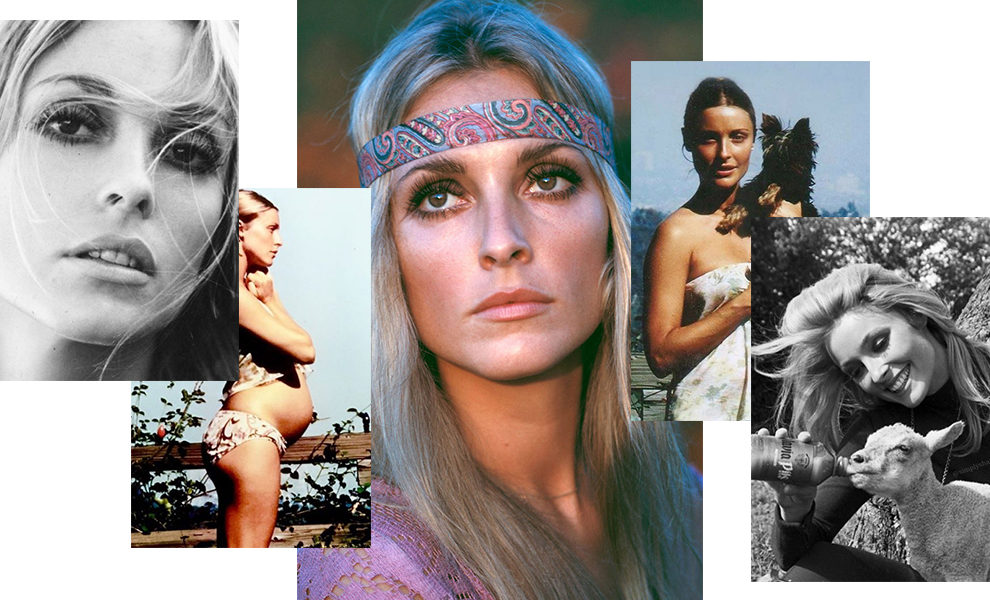 ��������� � ��������� ������������ ����� ����