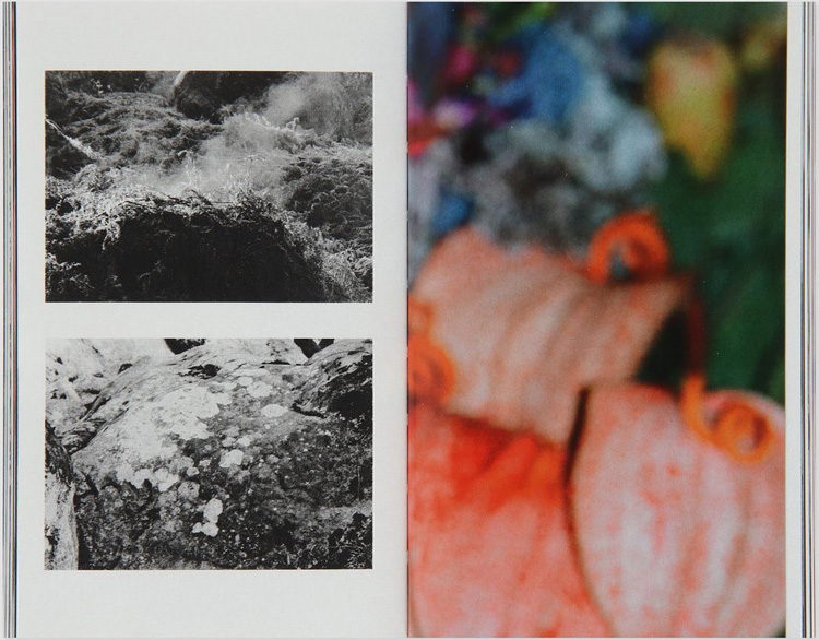 ����� Preparation 1017-ALYX-9SM � ���������� ����� �������� �������� � ������